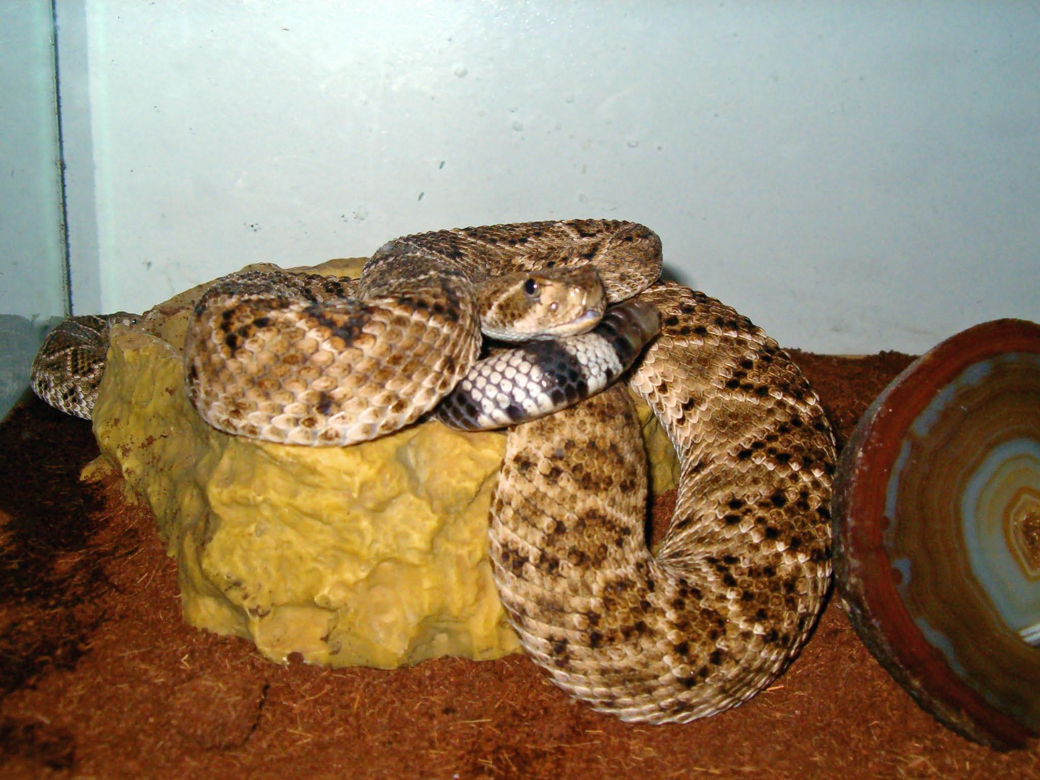 Picture 003_edited.jpg [262 Kb]